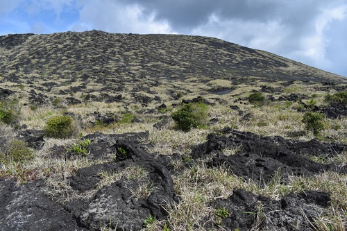 溶岩に覆われた三原山内輪山の斜面。溶岩の隙間には先駆植物であるススキやイタドリなどが生えている。