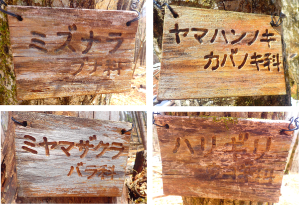 木板に彫られた木の名前
