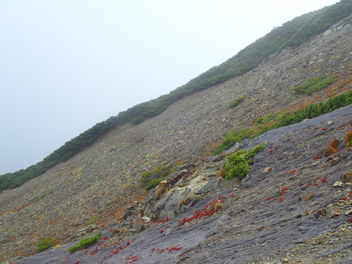 裸地化が進んでしまった塩見岳（手前の灰色の部分は過年度に設置した土壌流出防止マット）