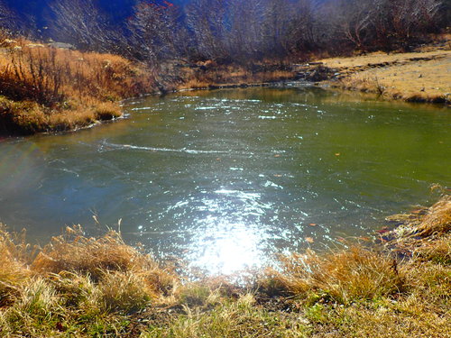 氷が張った白根御池