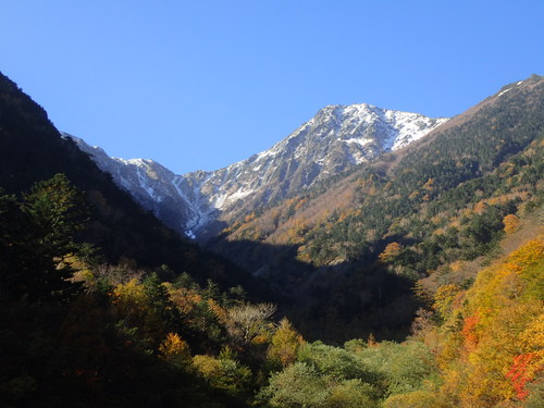 冠雪した北岳と紅葉の広河原