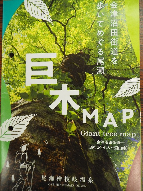 巨木マップの表紙