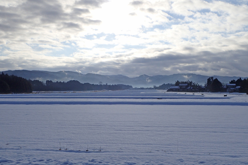 【佐渡の雪原風景】