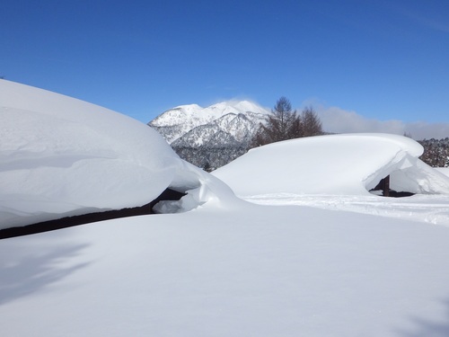 新（左）・旧（右）ビジターセンター