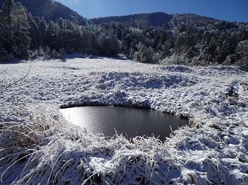 草や池塘の表面は凍っていた