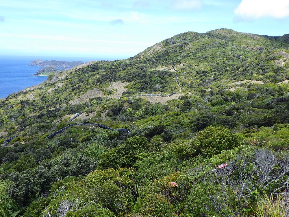 兄島Bライン柵