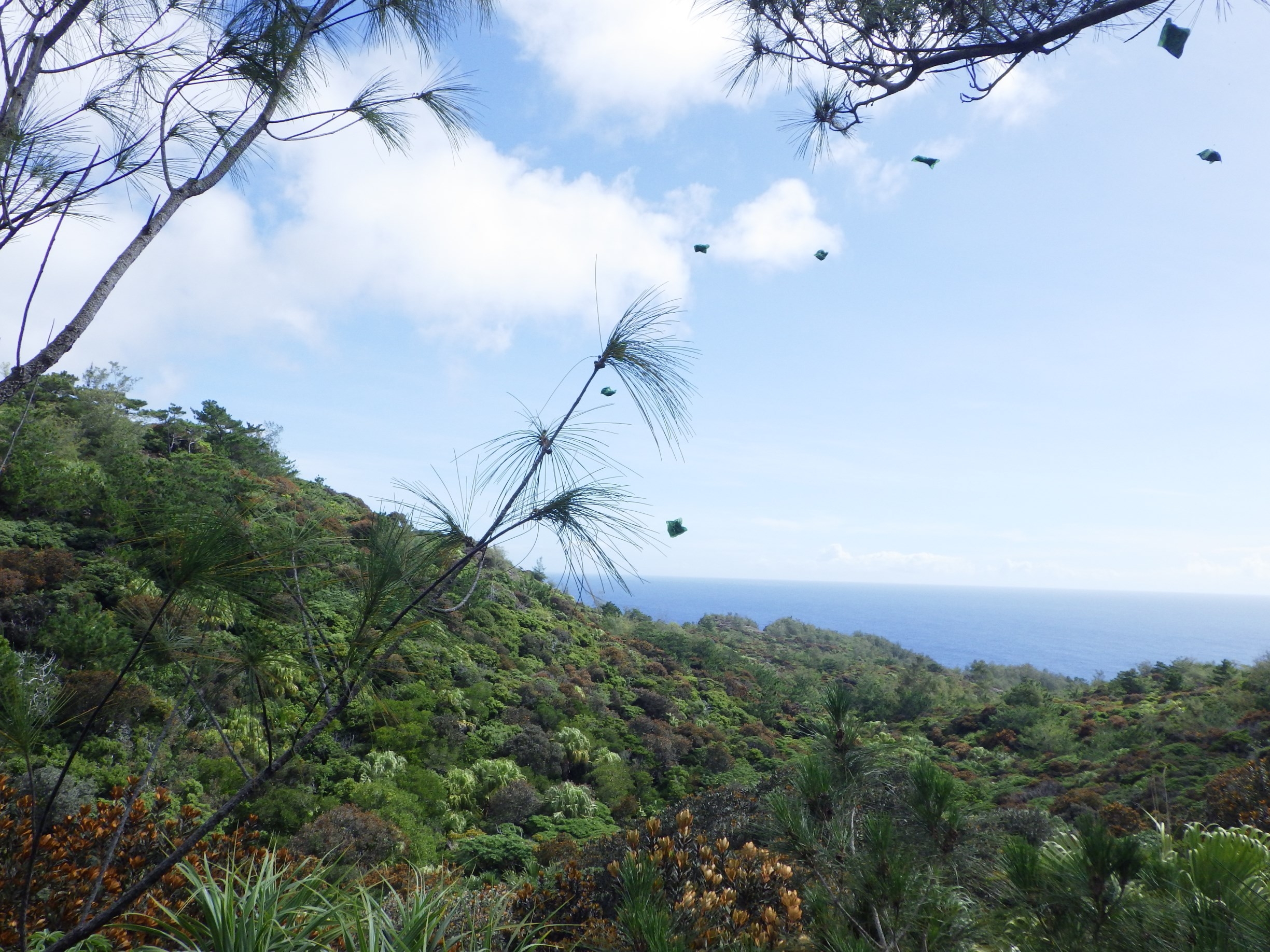 できるだけ広く飛ばします