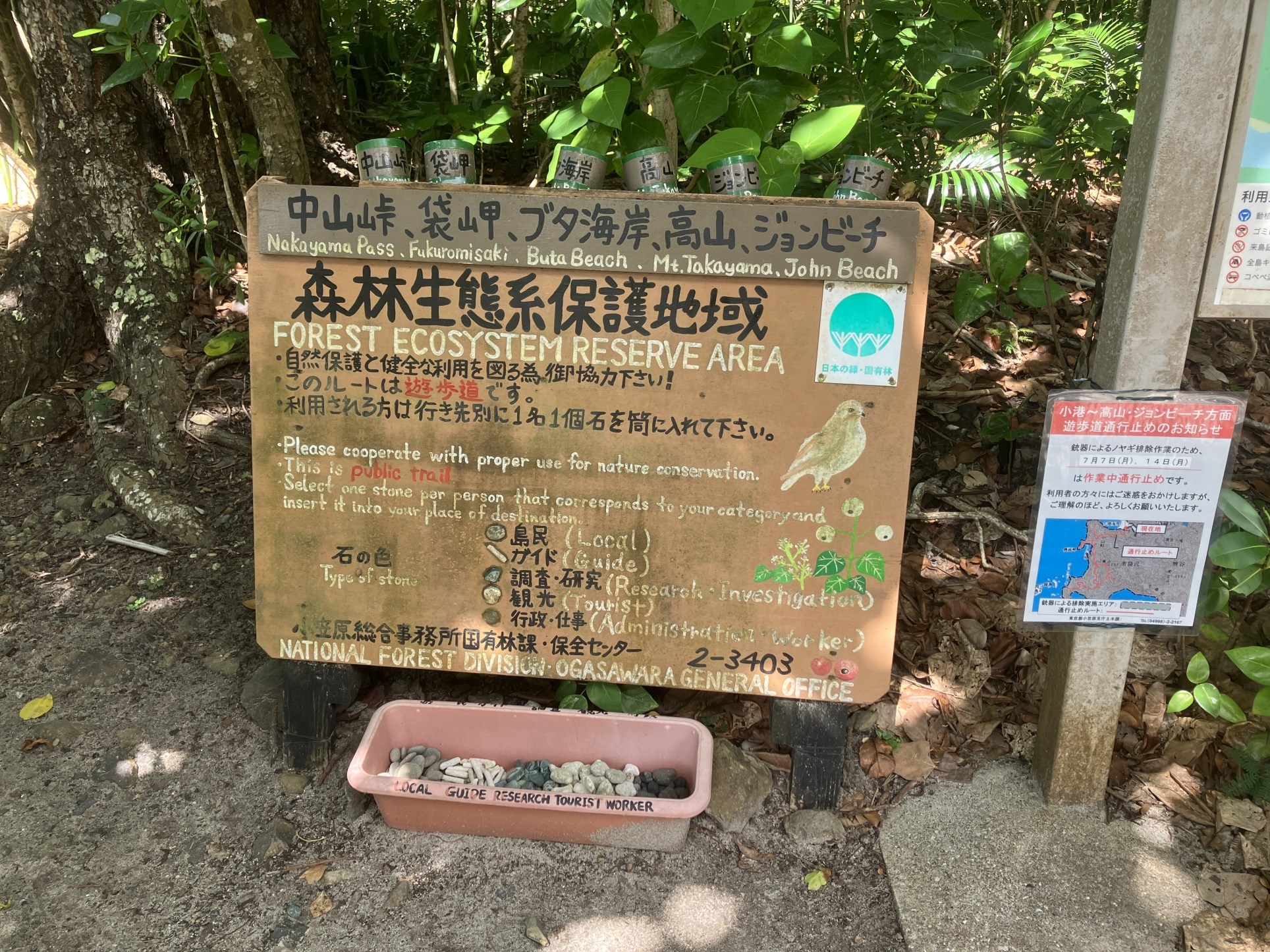 小港海岸設置の利用者カウンタ