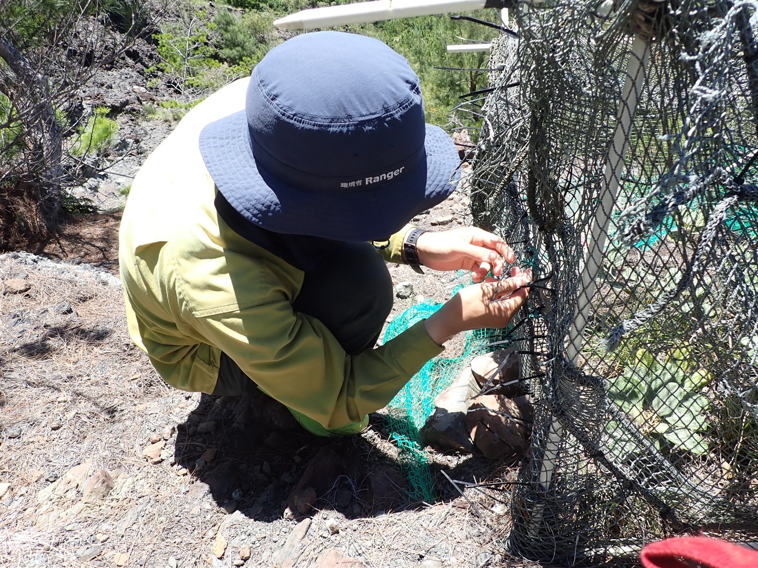 巡視作業の様子