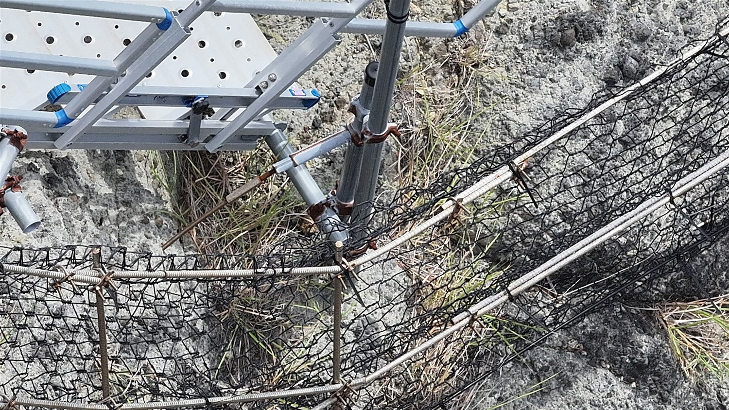 ドローンから撮影したノヤギ柵