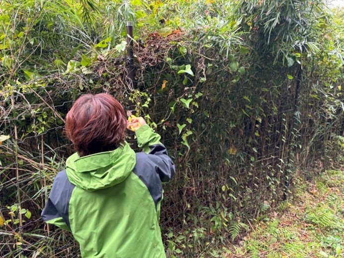 柵の修理を行う生態系保全等専門員　