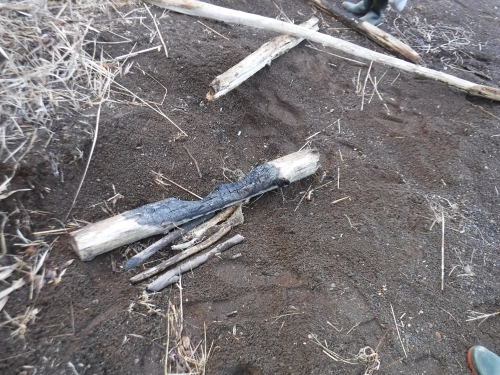 ▲流木まで燃やされていました　