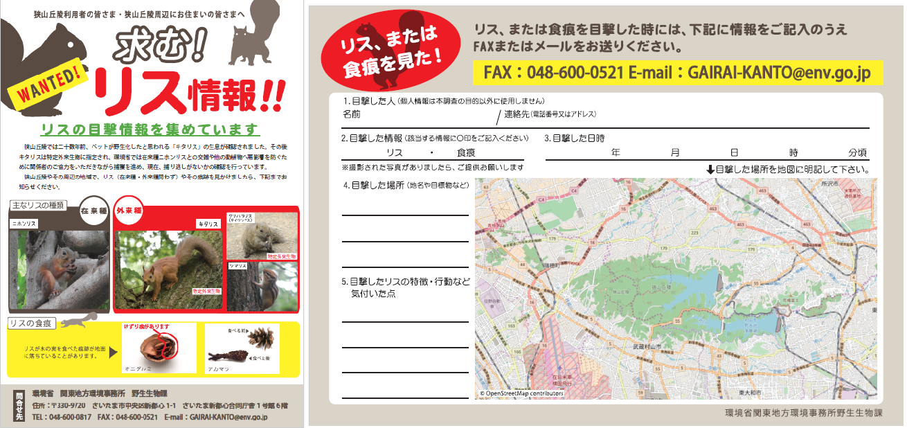 キタリス目撃情報チラシ