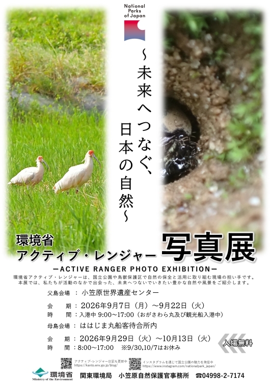 代替テキスト