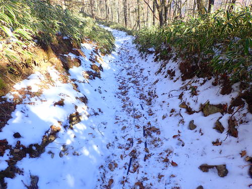 登山道のあちこちにみられる雪