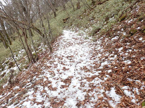 登山道上に積もる雪