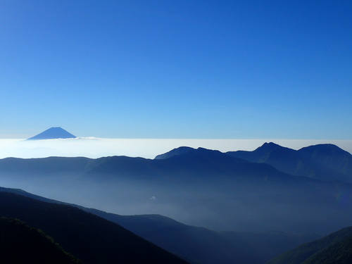 富士山と白峰南嶺間に広がる雲海