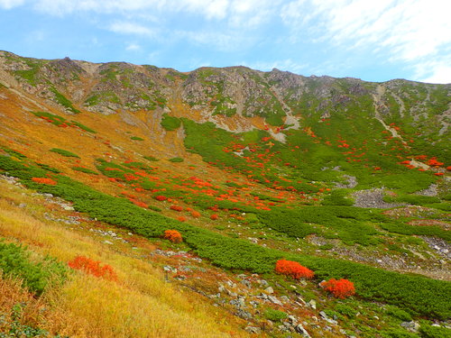 荒川岳カールの紅葉